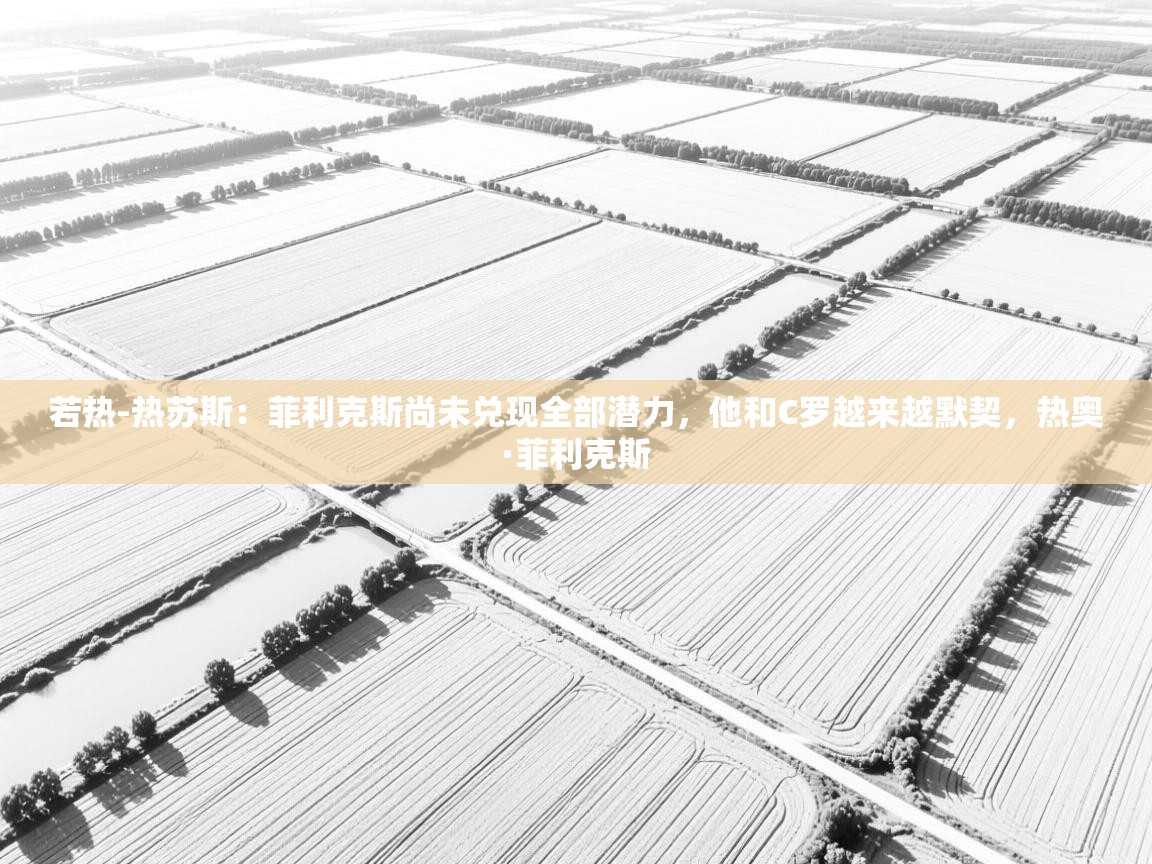 若热-热苏斯：菲利克斯尚未兑现全部潜力，他和C罗越来越默契，热奥·菲利克斯  第1张