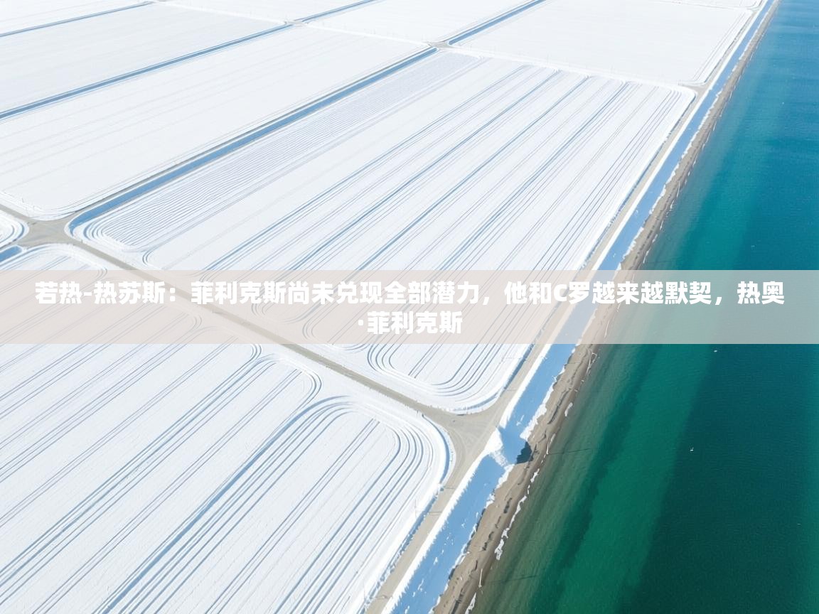 若热-热苏斯：菲利克斯尚未兑现全部潜力，他和C罗越来越默契，热奥·菲利克斯  第2张