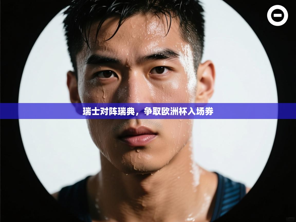 瑞士对阵瑞典，争取欧洲杯入场券  第2张