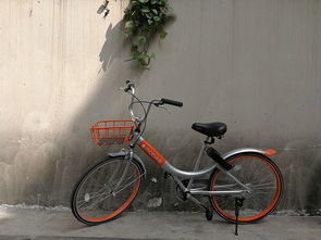 云开体育官网入口-罗马市政府推出新政策，鼓励市民使用共享单车减少交通拥堵